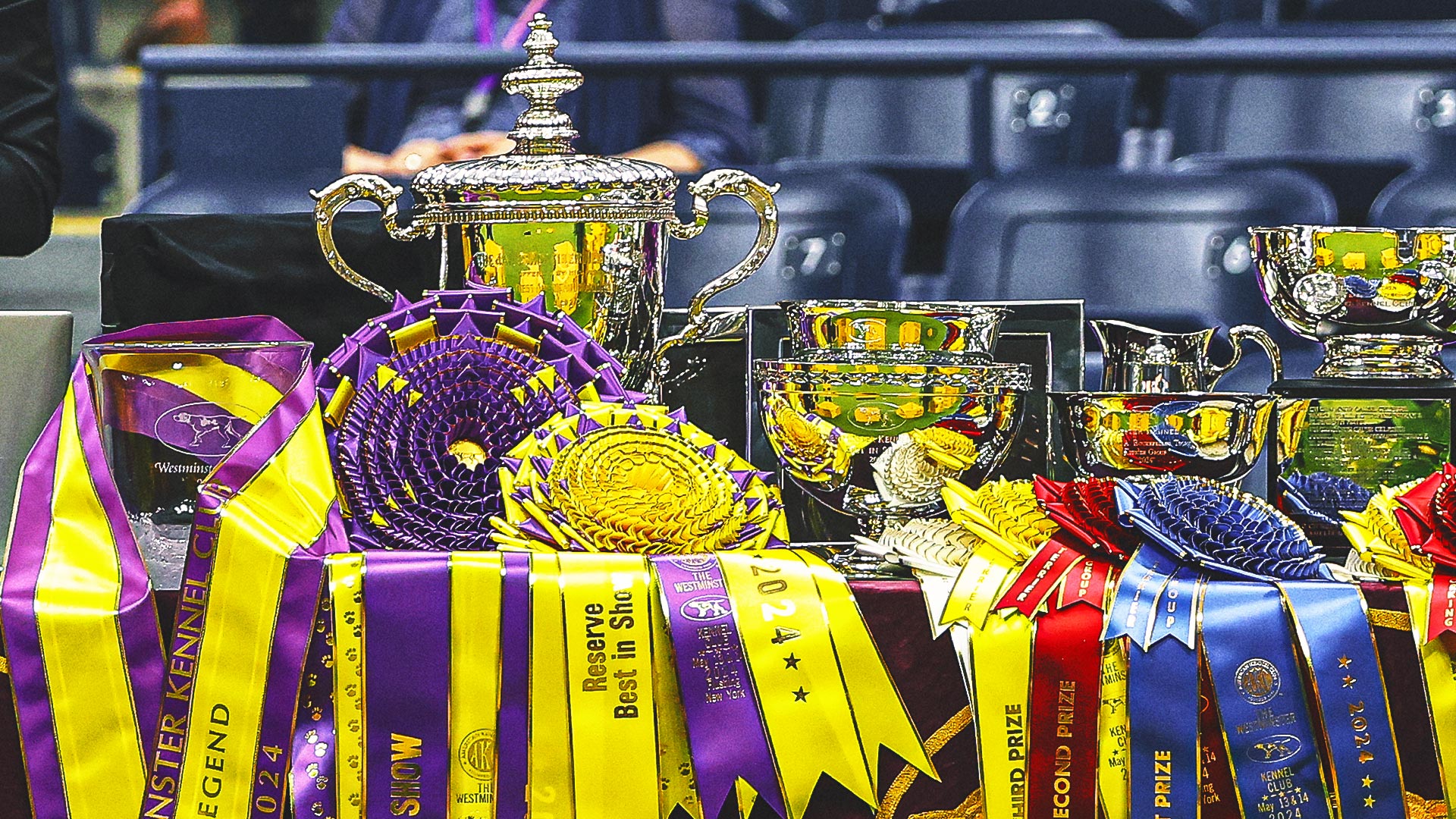 What Makes a Winner? A Westminster Kennel Club Dog Show Judge Explains