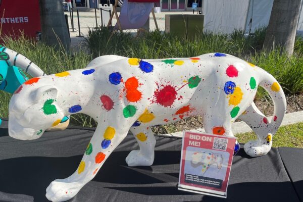 Florida Panthers enlist stars for unique cancer fundraiser