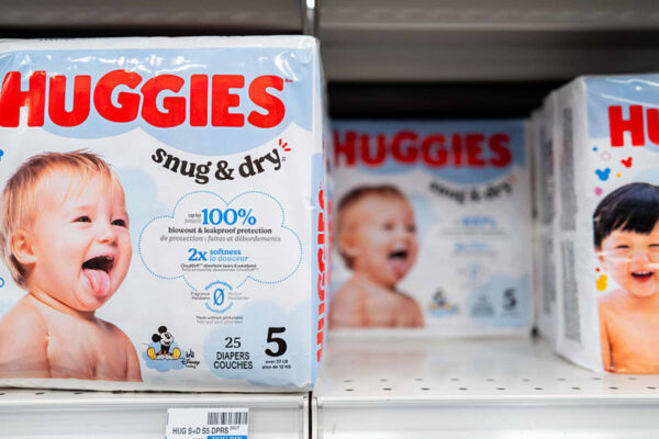 These dividend stocks can insulate investors from AI risk, says Jenny Harrington