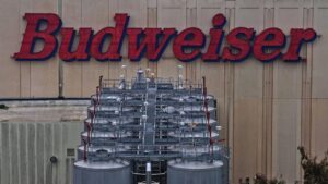 CSCO, BUD, FSLY and more