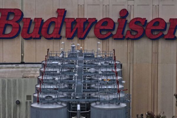 CSCO, BUD, FSLY and more