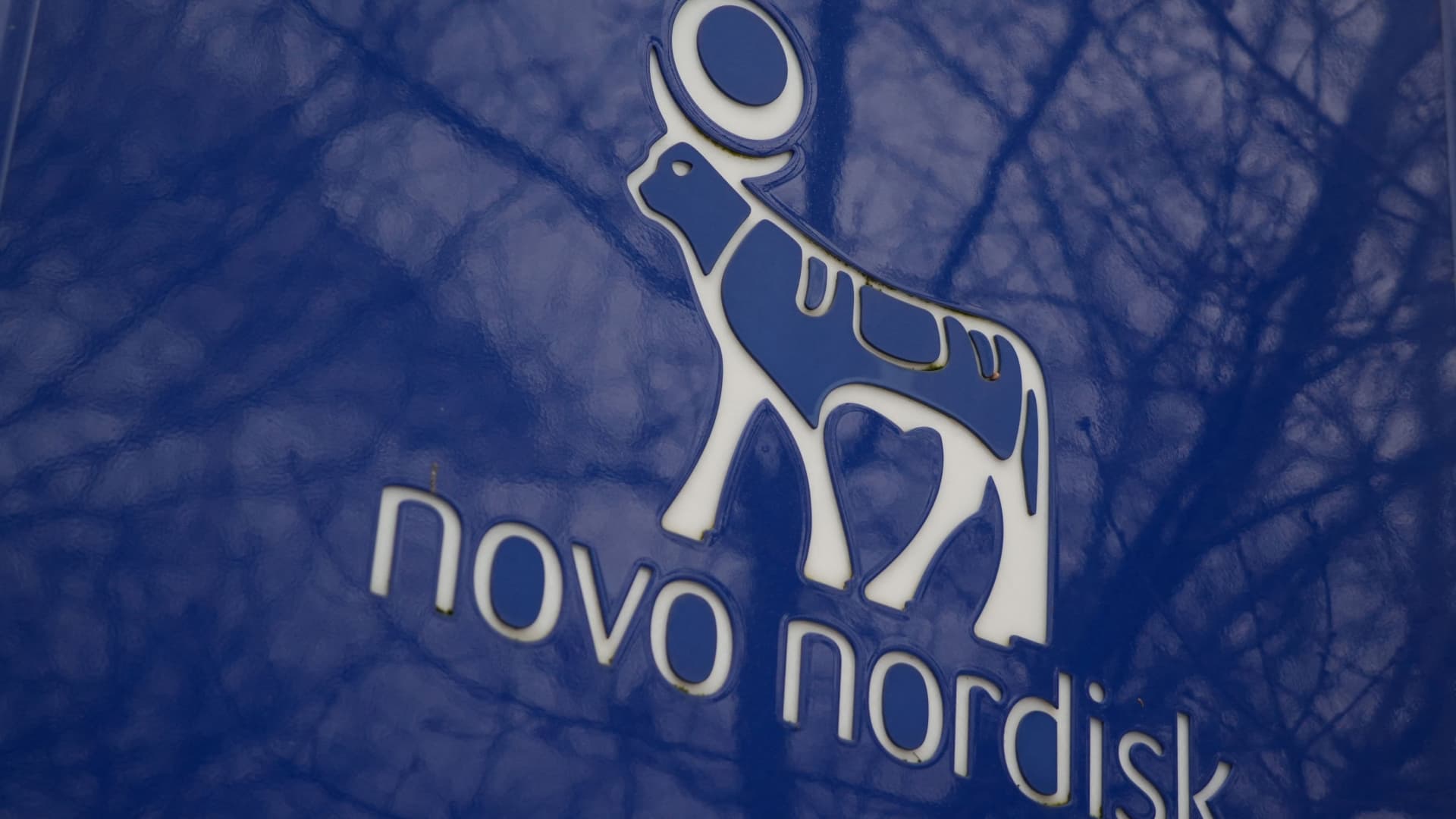 Novo Nordisk stock falls as weight loss drug fails to beat Eli Lilly