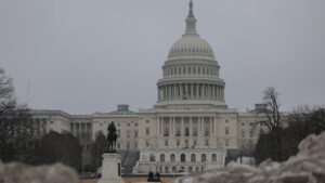 Man ran at U.S. Capitol with shotgun and tactical vest: Police chief
