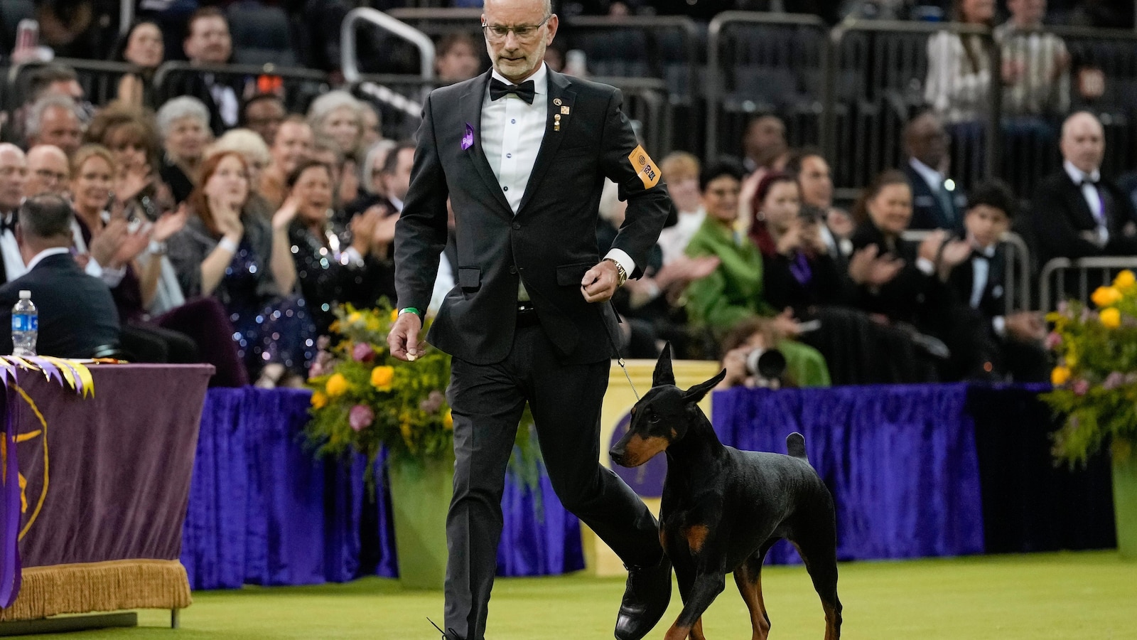 Doberman pinscher named Penny wins best in show at the 150th annual Westminster Kennel Club Dog Show