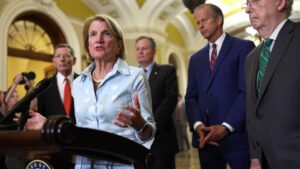 Top permitting-reform senators meeting as talks thaw: API chief