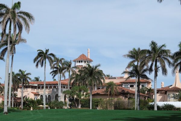 Trump’s next Florida rep could be Emily Gregory