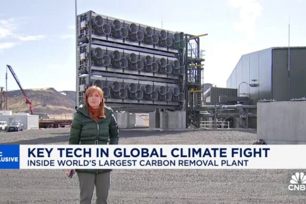 Big Tech looks to carbon credits amid AI race; Microsoft leads