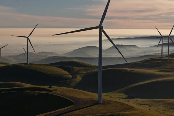 Cramer calls this AI stock ‘a terrific story,’ sticks with Starbucks