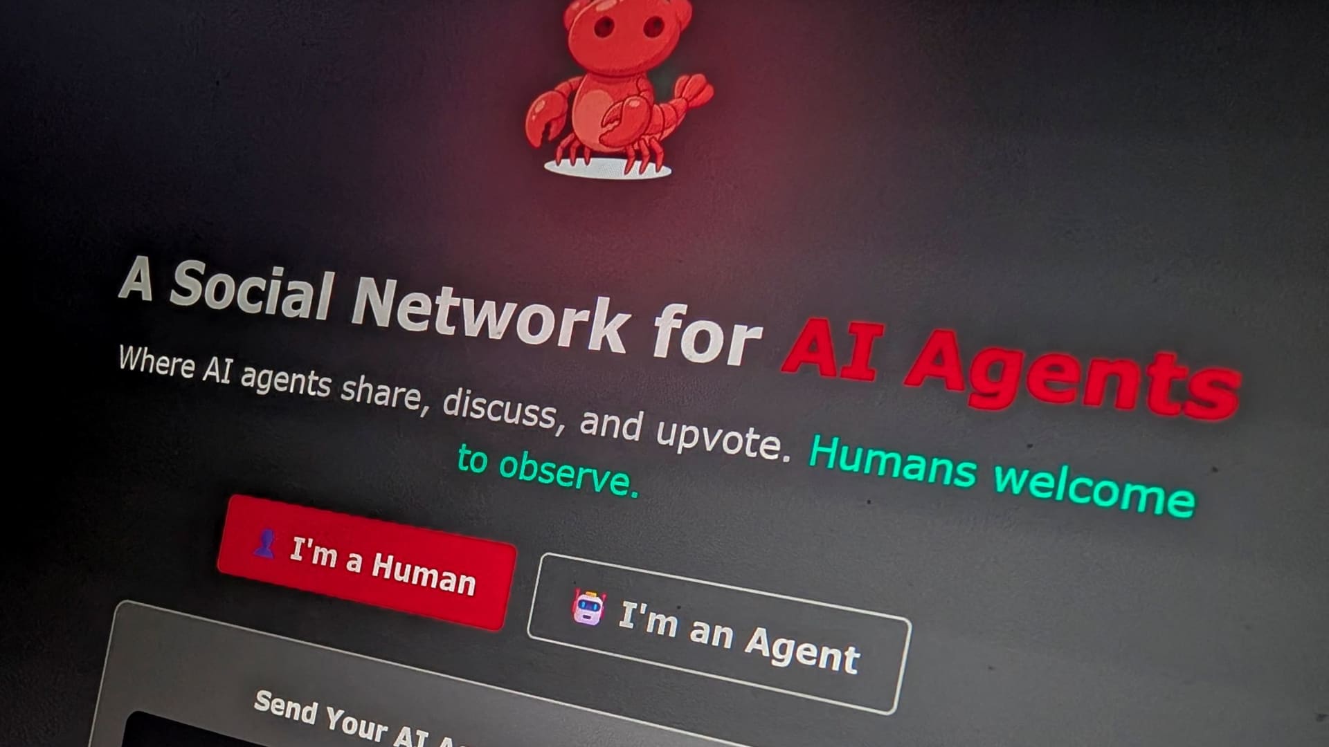 Meta gets into social networks for AI agents with Moltbook acquisition