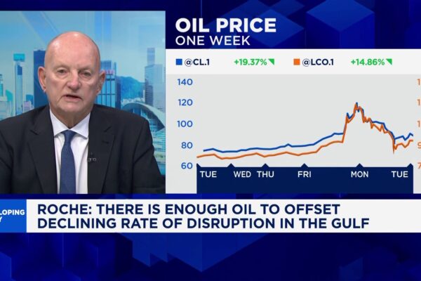 Strait of Hormuz will partially reopen in 2-3 weeks: David Roche