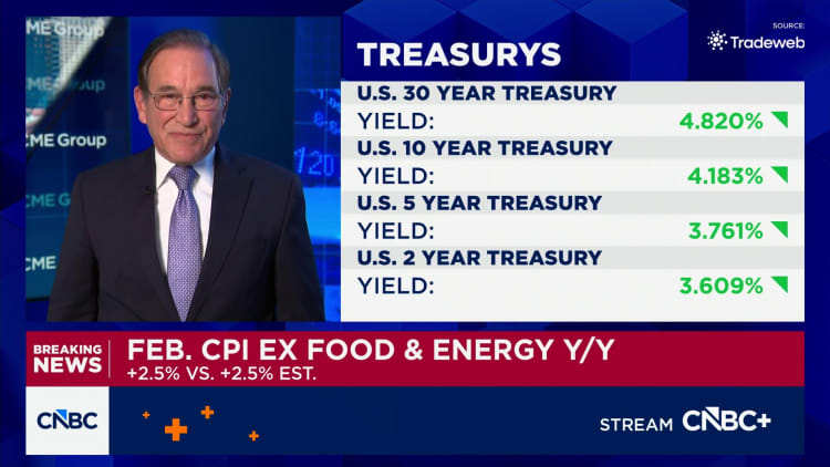 CPI inflation report February 2026: