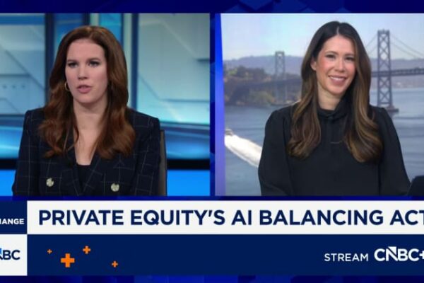 Private equity is about to eat its own software portfolio