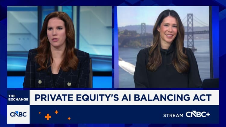 Private equity is about to eat its own software portfolio