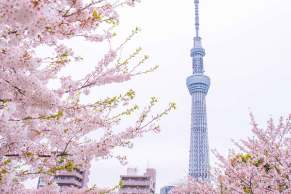 Asia-Pacific markets rise in Easter trade on hopes for Hormuz reopening