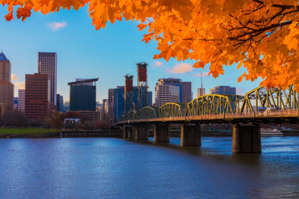 Portland’s empty storefronts are costing the city millions
