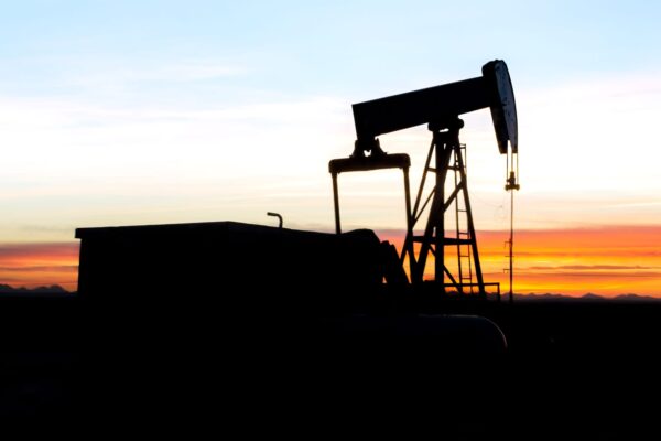 Family offices see gains after making opportunistic bets on oil