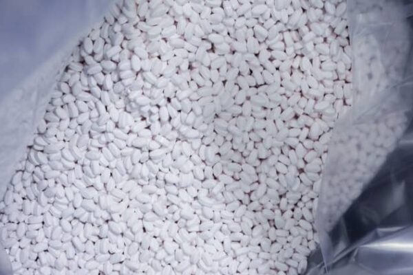 Novo Nordisk’s Wegovy pill launch draws new wave of patients to GLP-1s