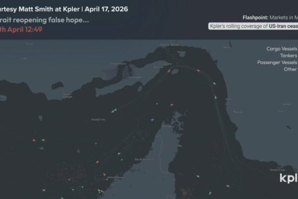 Video shows ships turning away from the Strait of Hormuz despite Iran declaring it open