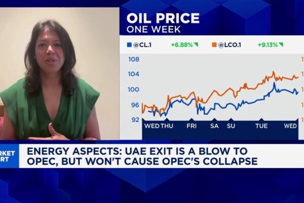 UAE exit shakes OPEC – But will it really change oil prices?