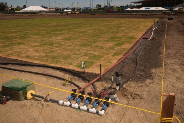 New cricket stadium in California heralds the sport’s Olympic return after 128 years