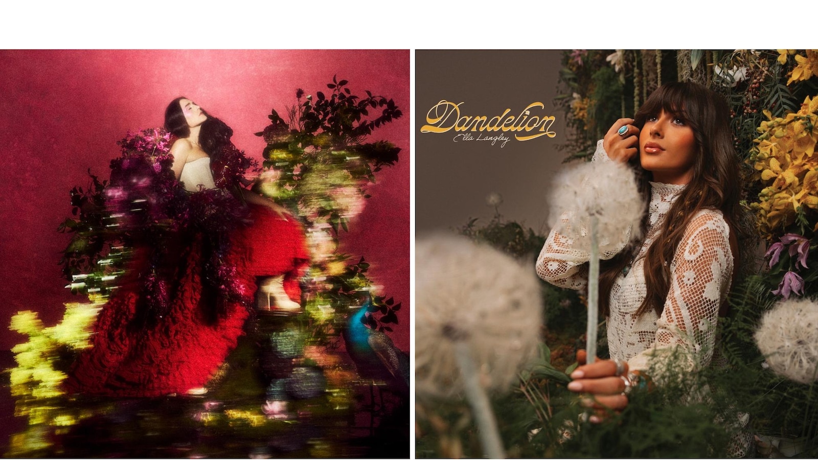 What to Stream: Sydney Sweeney, ‘Malcolm in the Middle,’ Jonah Hill, ‘Hacks’