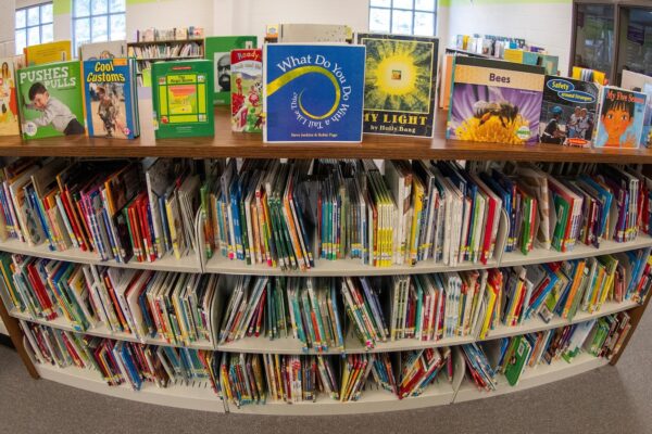 From book bans to basement makeovers: 10 win I Love My Librarian Award