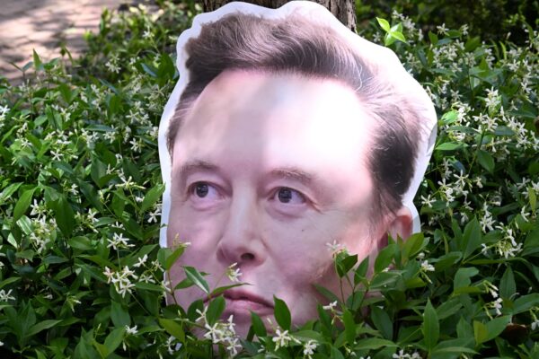 Elon Musk billionaire bill fans draw progressive challengers in Delaware