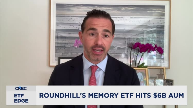 ‘Biggest bottleneck in the AI buildup’ fuels DRAM ETF to record