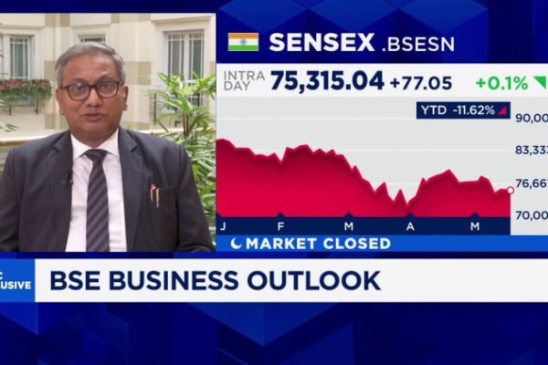 Domestic investors helped avert slump