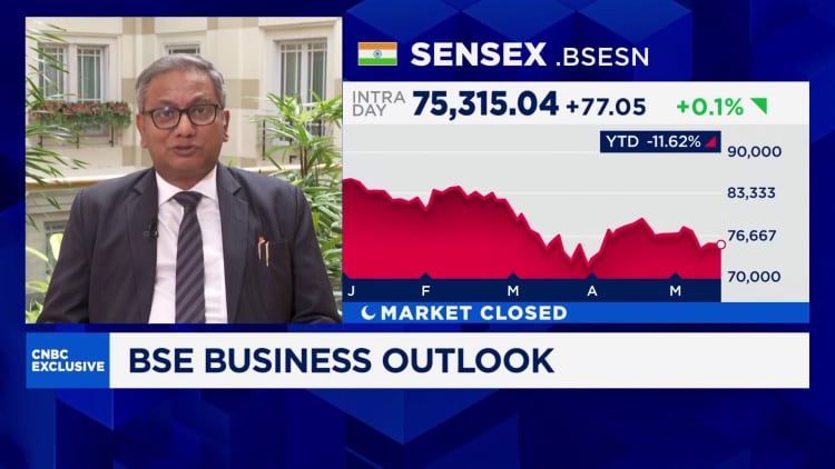 Domestic investors helped avert slump
