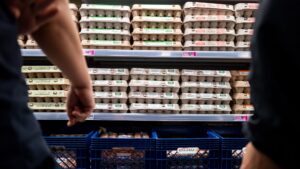 Egg prices fall due to oversupply after bird flu shortages