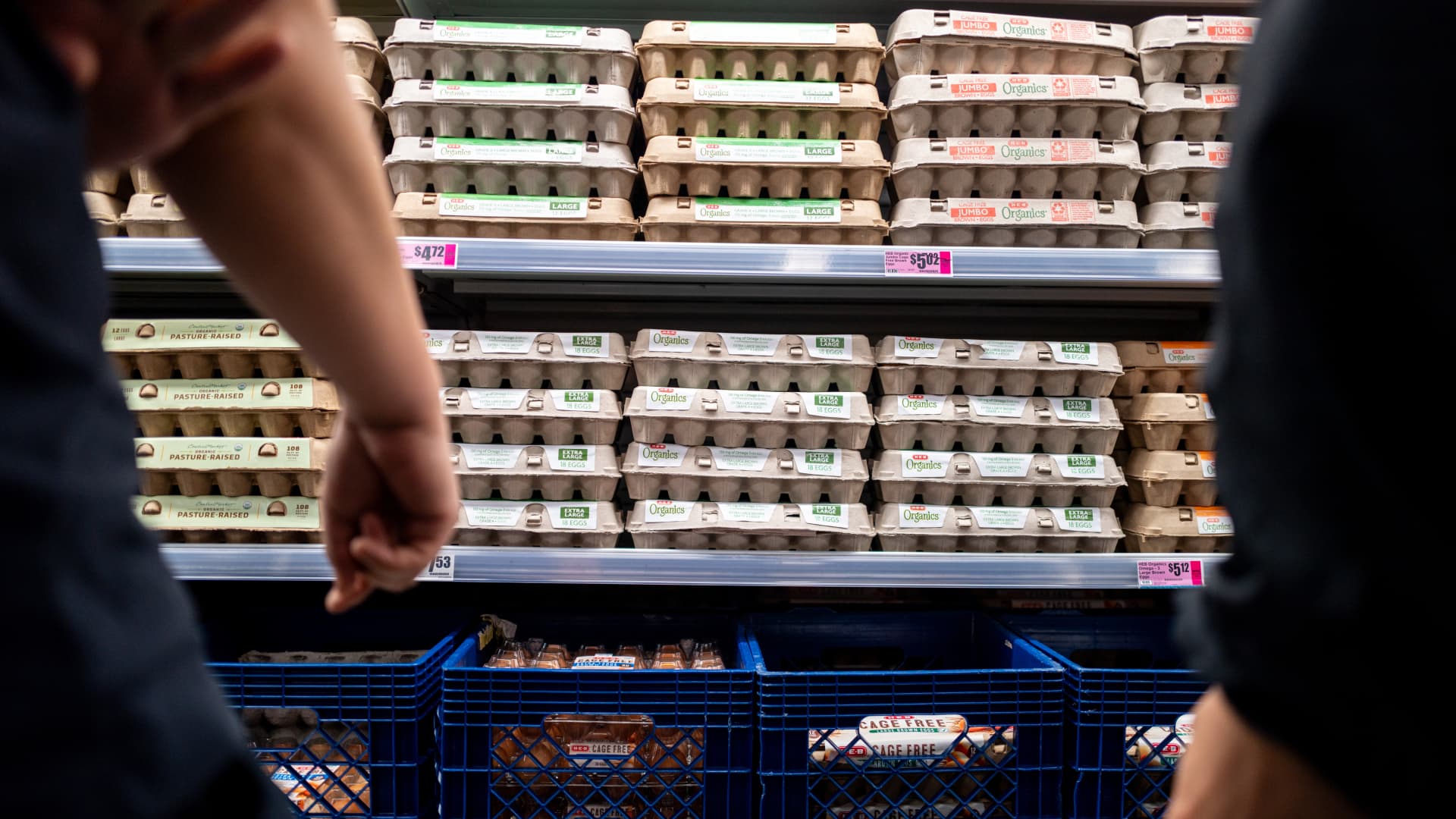Egg prices fall due to oversupply after bird flu shortages