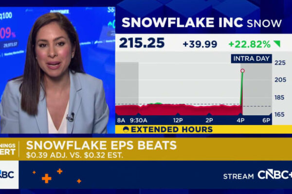 Snowflake stock surges 35% on AI frenzy, fueling software rally
