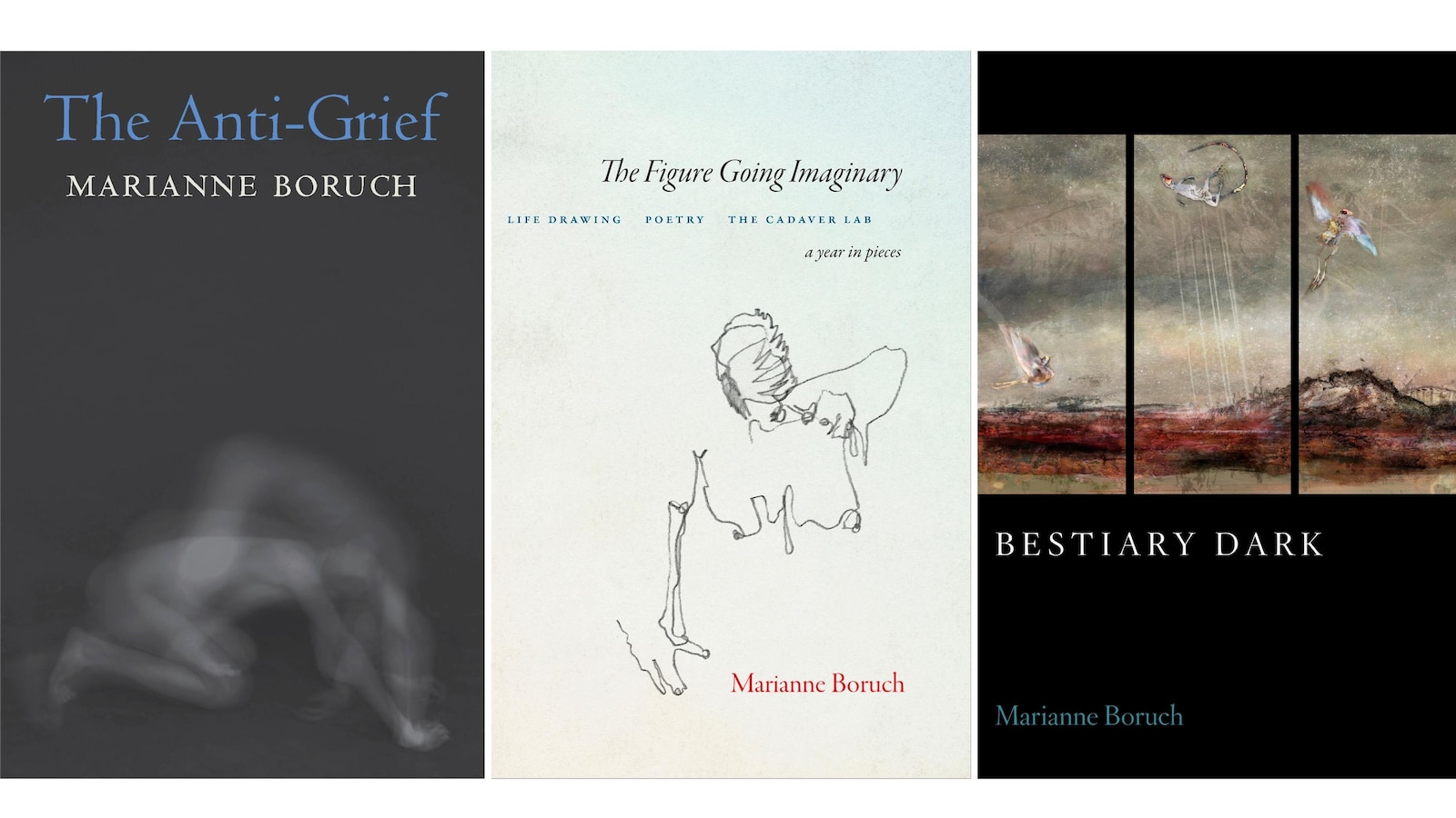 Marianne Boruch wins 0,000 Jackson Poetry Prize as judges hail human genius in AI age