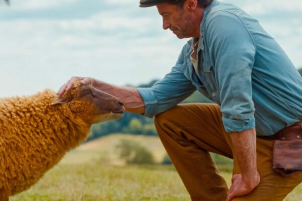‘The Sheep Detectives’ is the starry, family-friendly whodunnit you didn’t know you needed