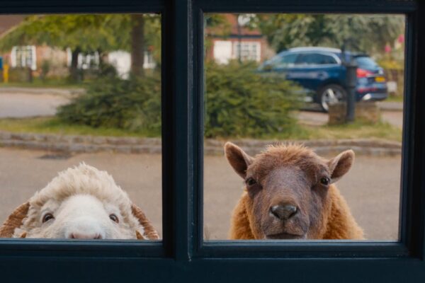 Movie Review: In ‘The Sheep Detectives,’ the private eyes have wool over their eyes