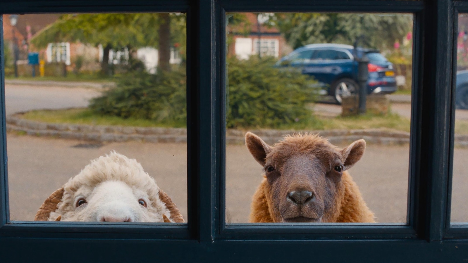 Movie Review: In ‘The Sheep Detectives,’ the private eyes have wool over their eyes