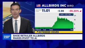 Allbirds stock soars after name change and CEO hire in AI pivot