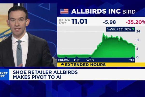 Allbirds stock soars after name change and CEO hire in AI pivot