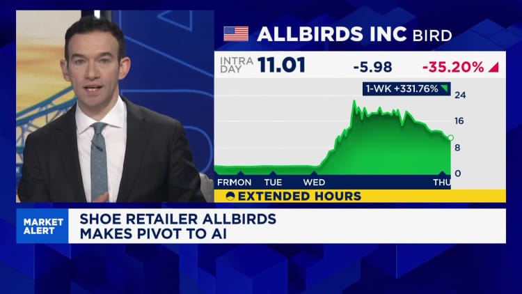 Allbirds stock soars after name change and CEO hire in AI pivot