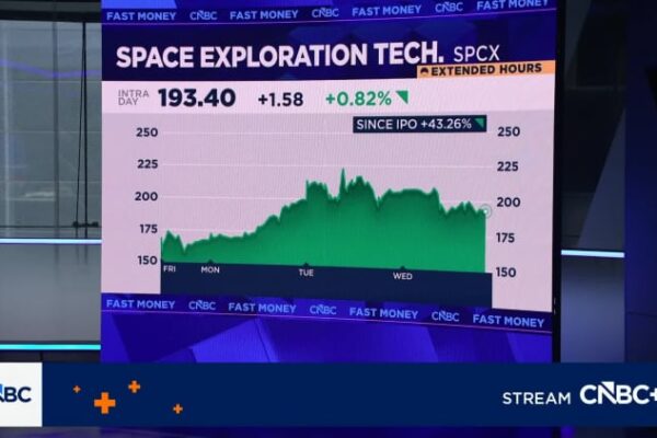 SpaceX adds long-time Elon Musk ally Roelof Botha to board