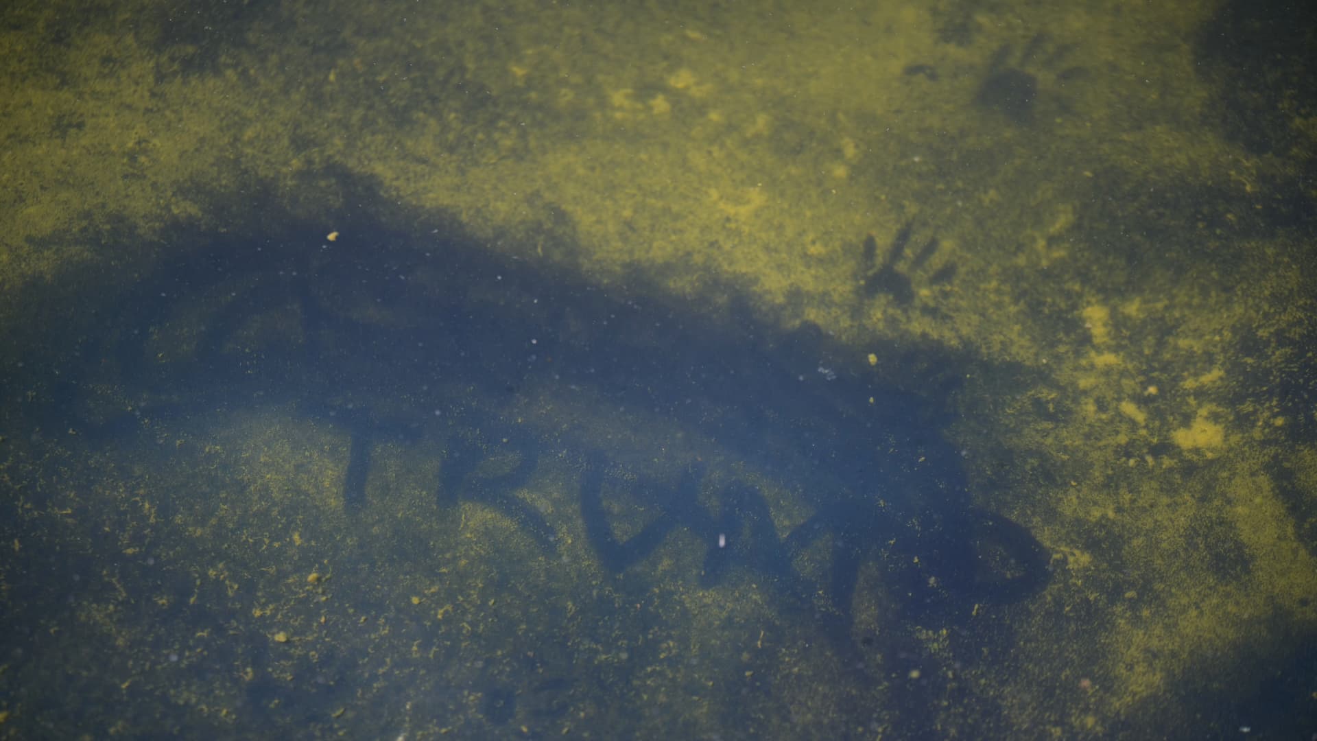 Trump tries to blame Reflecting Pool woes on vandalism